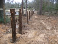2-26-17 Pond and Cedar Fence Posts.jpg