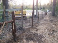 3-3-17 First Fence Section Looking At Pond.jpg
