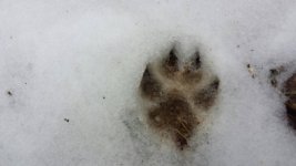 20170306_122436.jpeg