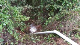 20160930_105326.jpeg