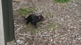 20150715_132843.jpg