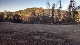 hilltop with saplings and debris - 2016.jpg