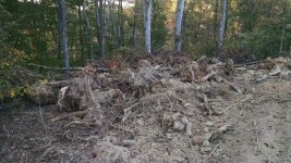 hilltop with debris pile - 2016.jpg