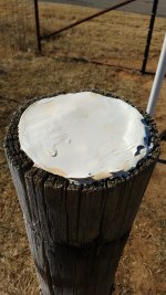 IMG_20170201_123532919.jpg
