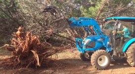 Cedar_EA_Grapple.jpg
