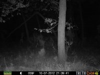 Game Camera pic's 072.jpg