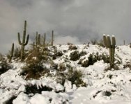 desert-snow.jpg