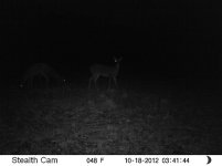 Deer2012 (108).JPG
