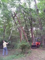 big ladder 1.jpg