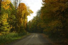 757934-Autumn 2005 047.jpg