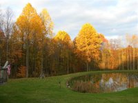 fall2 (Small).jpg