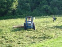 719035-2ndhaying_05_08-2.JPG
