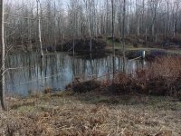 638886-wis pond  05.jpg