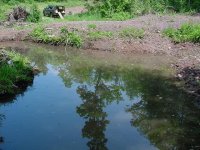 682765-Wilderness Pond - waiting for rainbows.jpg