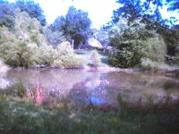 683131-Picture006_27Jun05.jpg