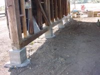 720292-Swallclean.jpg