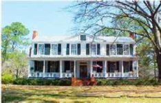 841769-Plantation6.jpg