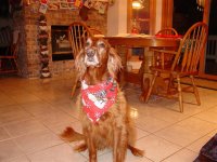 798294-Mag Scarf (Medium).JPG