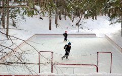 rink3.jpg