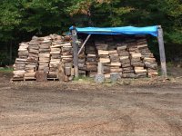 ImageUploadedByTractorByNet1475799603.257067.jpg
