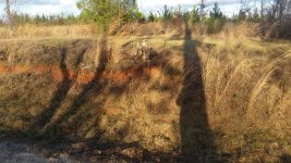 20170107_161817.jpg