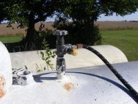 DSCF1133.JPG