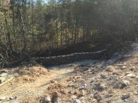 IMG_5213.JPG