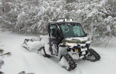 defendersnowytrees.jpg
