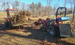 Stump Dump1.jpg