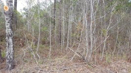 20170316_172030.jpg