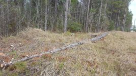 20170316_172045.jpg