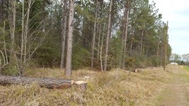 20170316_172134.jpg
