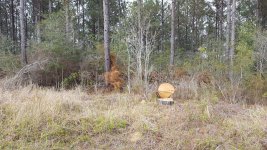 20170316_172314.jpg