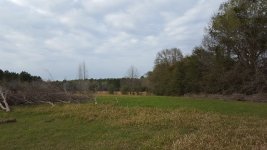 20170316_172356.jpg