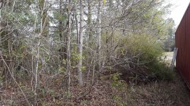 20170316_172523.jpg