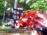 IMG_20161006_173508.jpg