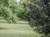 DSCN3965.JPG