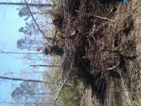 20170317_140539.jpg