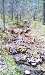 Ripple Creek 4-13.jpg