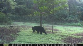Big BEAR 7AM 7-13 creek.JPG