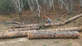 ImageUploadedByTractorByNet1476230457.155312.jpg
