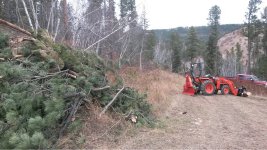 ImageUploadedByTractorByNet1476230479.506185.jpg