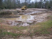 1-8-17 One Day Of Runoff Into Pond.jpg