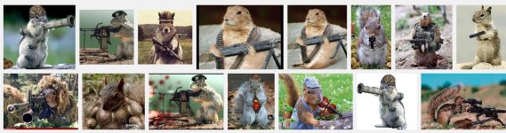 squirrelgun.jpg