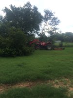 phone pics 11-4-16 309.JPG