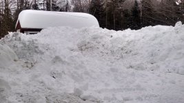 snow14.jpg