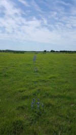 20170404_130800-1494x2656.jpg