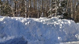 snow12.jpg