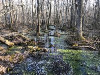 IMG_3552.JPG