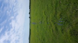 20170404_130800.jpg
